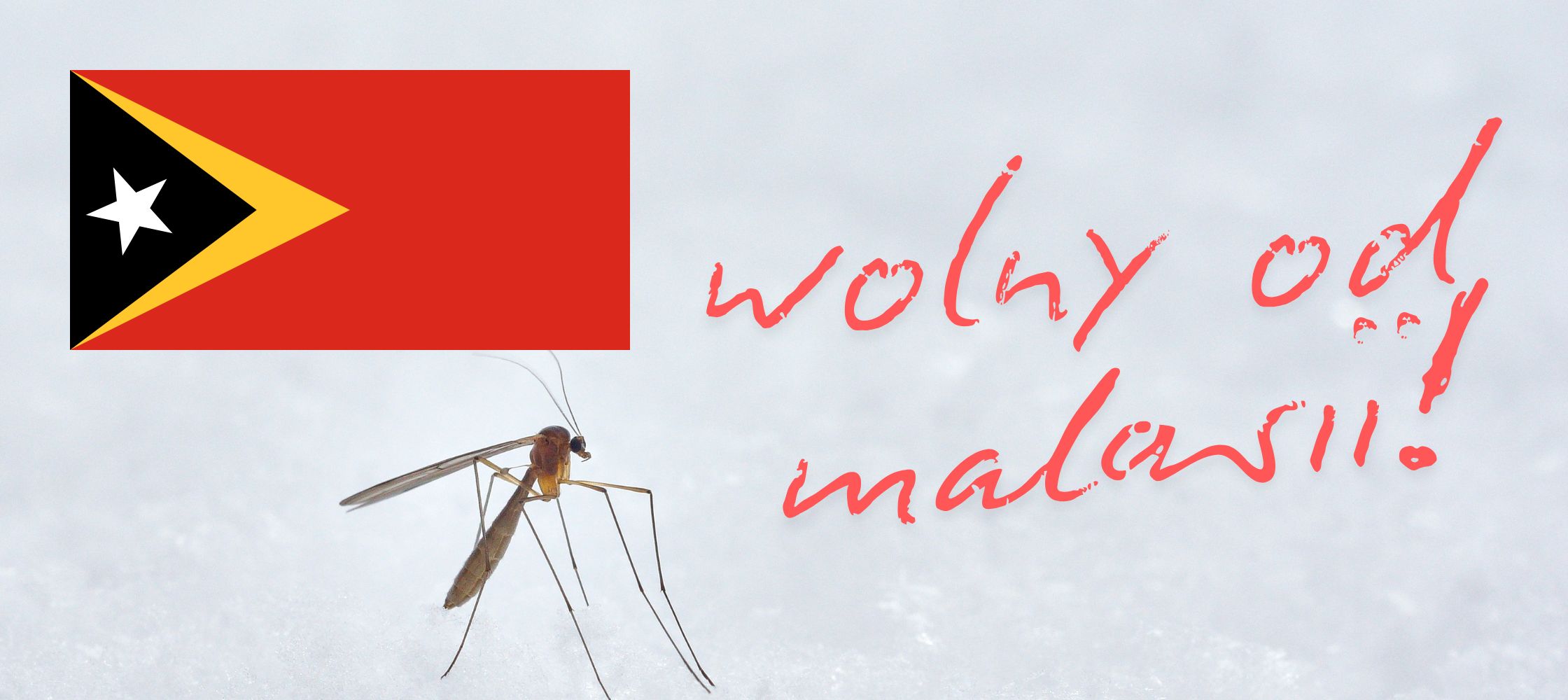 Timor Wschodni oficjalnie wolny od malarii – potwierdza WHO