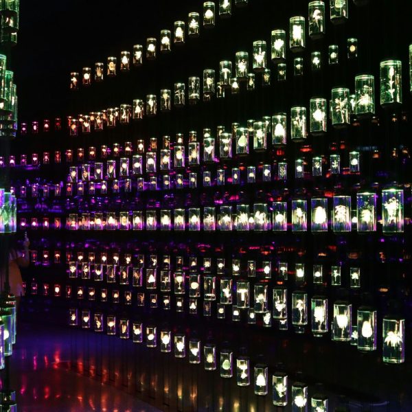 Singapur- polityczna myśl kilka kroków do przodu