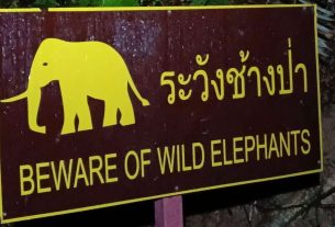 Khao Sok, czyli jak niebezpieczne są lasy w ASEAN