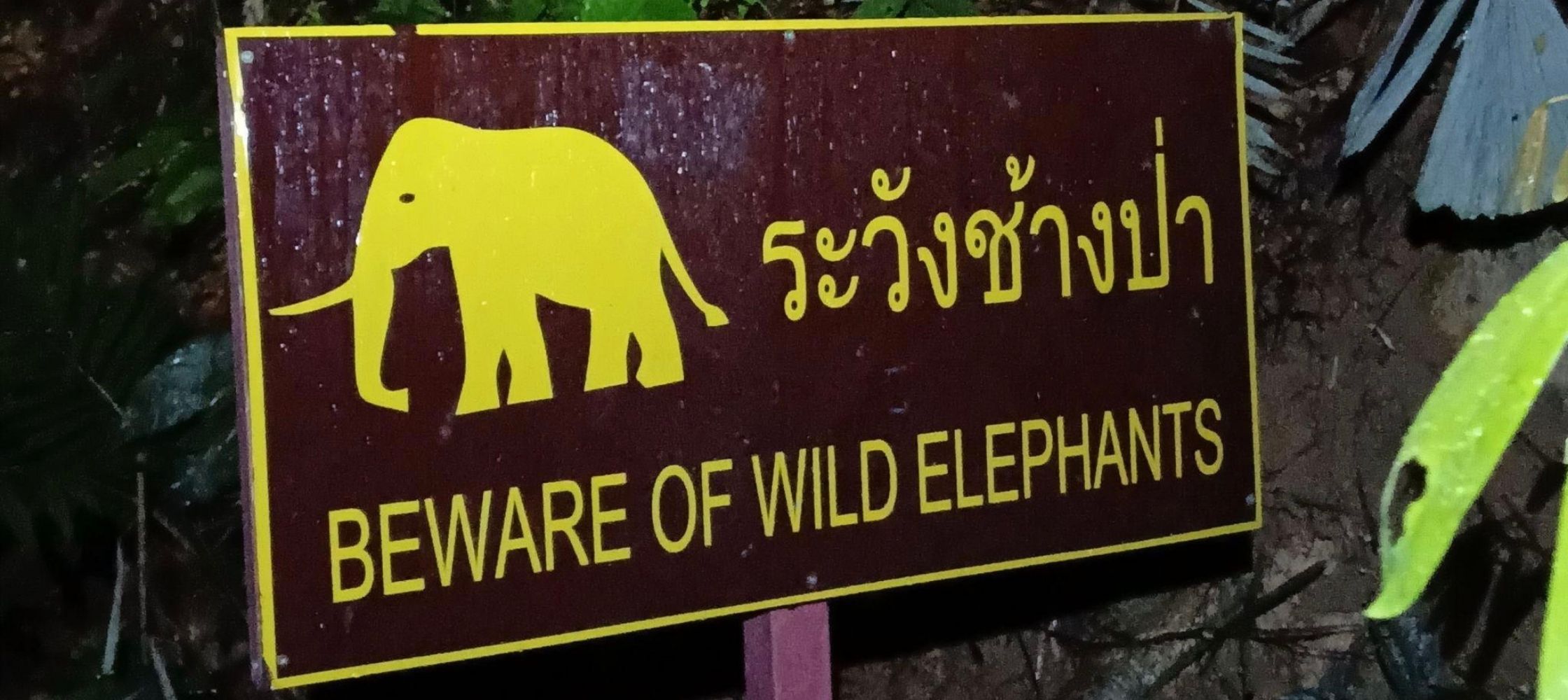 Khao Sok, czyli jak niebezpieczne są lasy w ASEAN